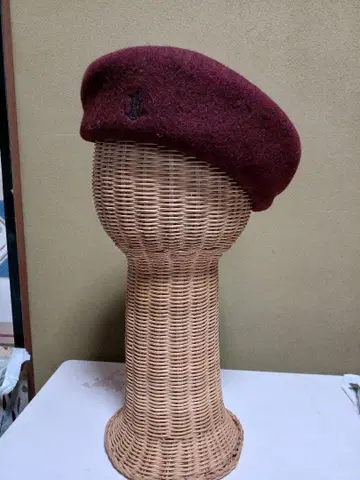 데셍 울 베레모