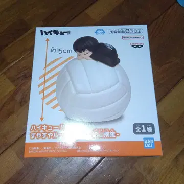 하이큐!! 수야수야 룸램프 카게야마 토비오 약 15cm