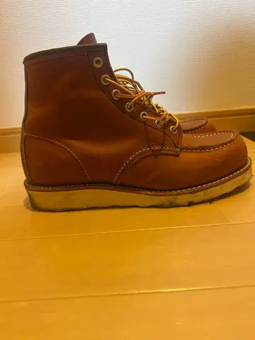 레드윙 아이리쉬 세터 25cm