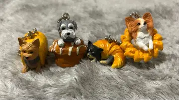 ( 최종 가격 ) 강아지빵 요크셔테리어 슈나우저 치와와 파피용 세트