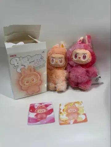 러브부 에너지 핑크 세트