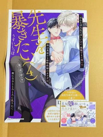 선생님을 파헤치고 싶다 포스터 POP