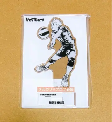 하이큐!! 아크릴 스탠드 히나타 쇼요 센다이 관광 특사 취임 기념