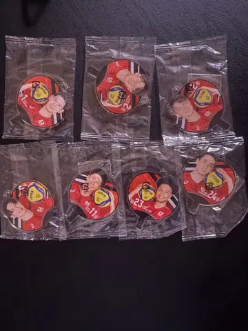 배구 남자 일본 대표 부채 아크릴 참