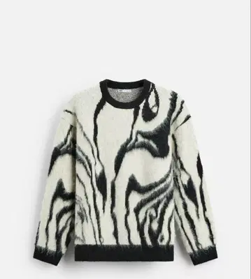 ZARA 추상 자카드 스웨터