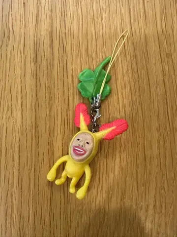 호토케아카바네 스트랩