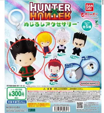HUNTER x HUNTER 메지루시 액세서리
