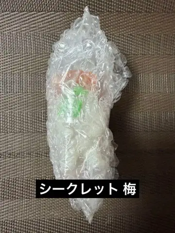 스시 괴수 스시엘르 2 시크릿 매실