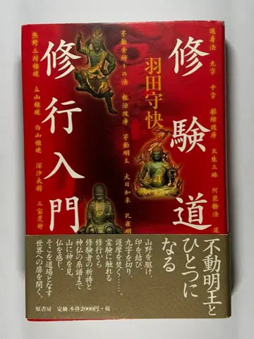 도서 [ 수험도 수행 입문 ] 하네다 슈카이 (비교 입문 코스)