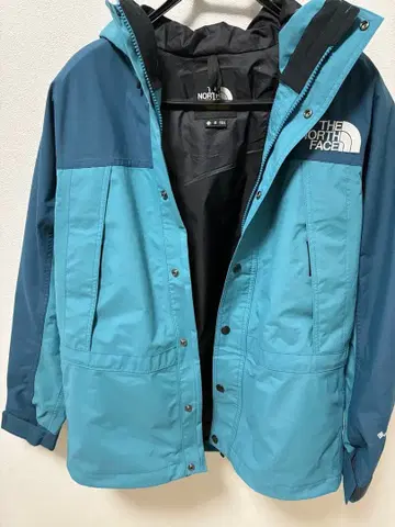 레어 컬러 THE NORTH FACE 마운틴 후드티