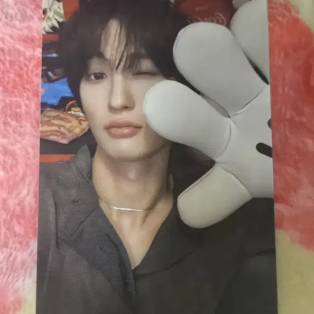 다크비 이찬 이모션 앨범포카