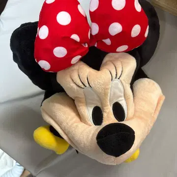 디즈니 팬캡 미니