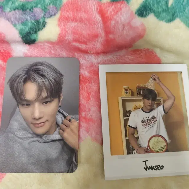 다크비 준서 이모션 앨범포카