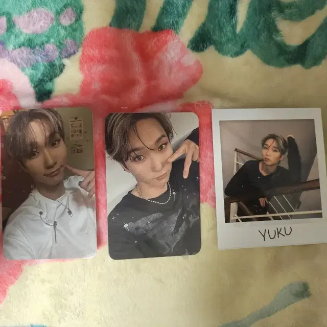 다크비 유쿠  이모션 앨범 포카