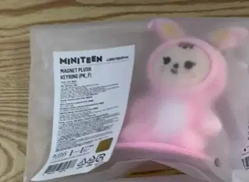 SEVENTEEN MINITEEN 마그넷 키링 정한 새상품