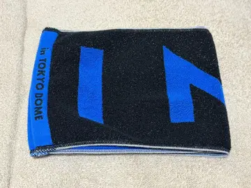 INI 라포스타 2025 머플러 타월