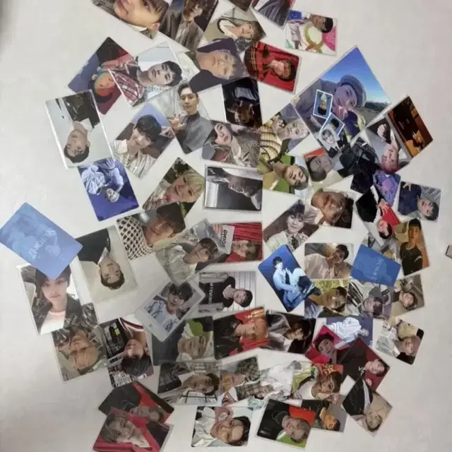 데이식스 포카 일괄 65장