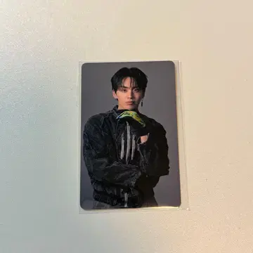 TJBB 후루시마 타키 TAKI Let's Dance 라쿠텐 세트