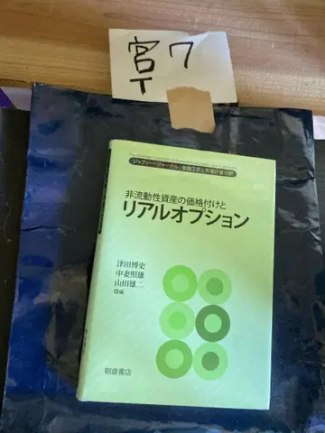 비유동성 자산의 가격 책정과 리얼 옵션 자피 저널|금융