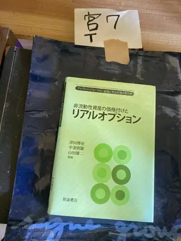 비유동성 자산의 가격 책정과 리얼 옵션 자피 저널|금융