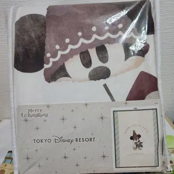 신상 디즈니 크리스마스 2025 릴린린 담요