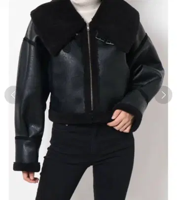 가죽과 퍼의 숏 자켓