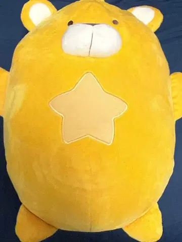 Eve/곰타로/봉제 인형