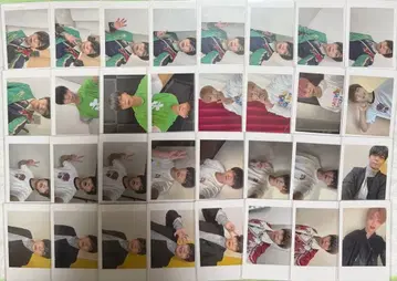 말랑말랑 팬더 드래곤 아즈 하피카 폴라로이드 굿즈