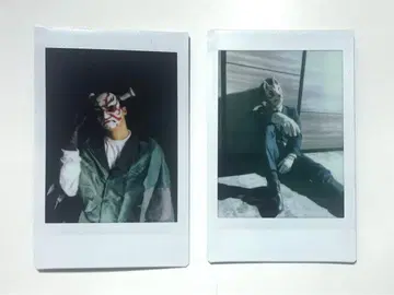 오멘즈 폴라로이드 쿠마도리 여우