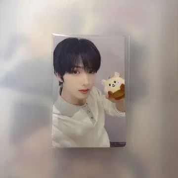 Dreamerz bamji 봉제 인형 부속 트레이딩 카드 지성