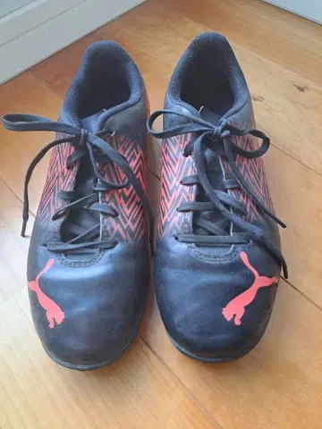 푸마 트레이닝화 22.5