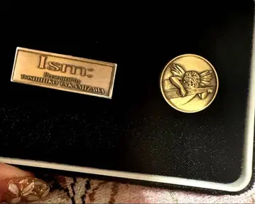 타카미자와 토시히코 Ism: 핀 배지