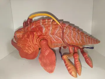 STAR WARS OPEE 스타 워즈 오피 씨 킬러