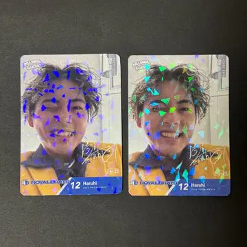 하르히 D리그 트레이딩 카드 키라 레어 avex ROYAL BRATS