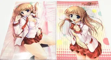 대도서관의 양치기 비주얼 팬북 클리어 파일