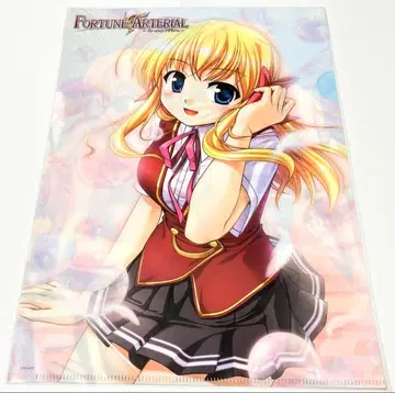 포춘 아테리얼 클리어 파일 게이머즈