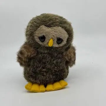 퍼스트 올빼미 레트로