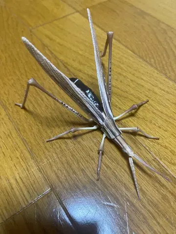 생물대도감 어드밴스 [벼메뚜기 (갈색형)] [거미] [장수풍뎅이]