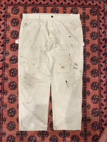 Dickies PPG PAINTS 페인터 팬츠 W40 x L30