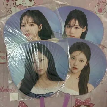 aespa synk hyper line 도쿄돔 부채