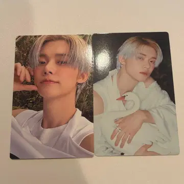 TXT Starkissed 초회반 A 봉입 트레이딩 카드 2종 컴프 영준