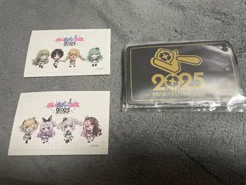 브이스포! 페스티벌 2025 S석 혜택 넥스트랩 포함 카드 케이스