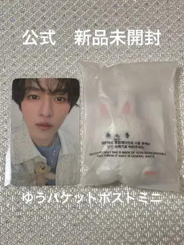 리노 마이크로 키링 stray kids