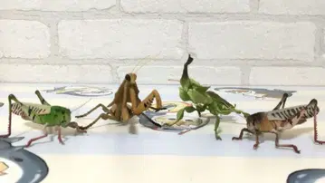 사마귀 왕사마귀 캡슐 토이 4종 세트