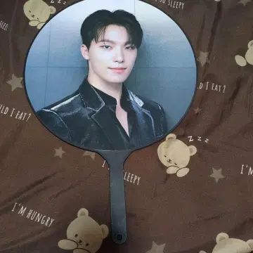 SEVENTEEN 디노 부채