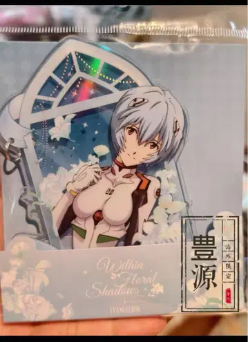 에반게리온 화간영 시리즈 5권 세트