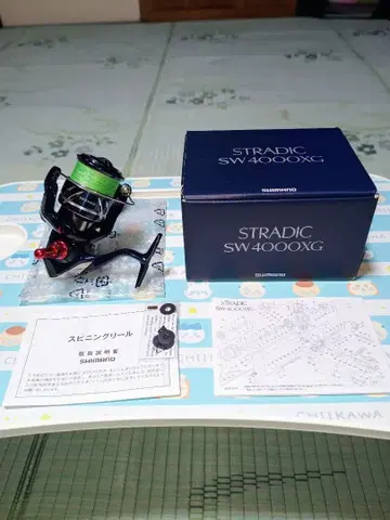 SHIMANO 24 STRADIC SW4000XG