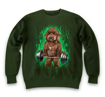 골든 두들 강아지 근력 운동 근육 무게 리프팅 헬스장 사이버 맨투맨