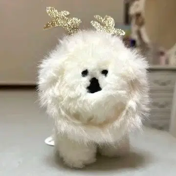 맘보에게 루돌프 스크런치를 달아봤어요