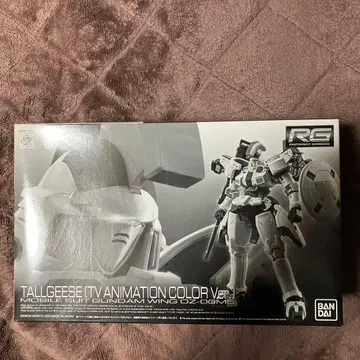 RG 토르기스 (TV 애니메이션 컬러 Ver.)
